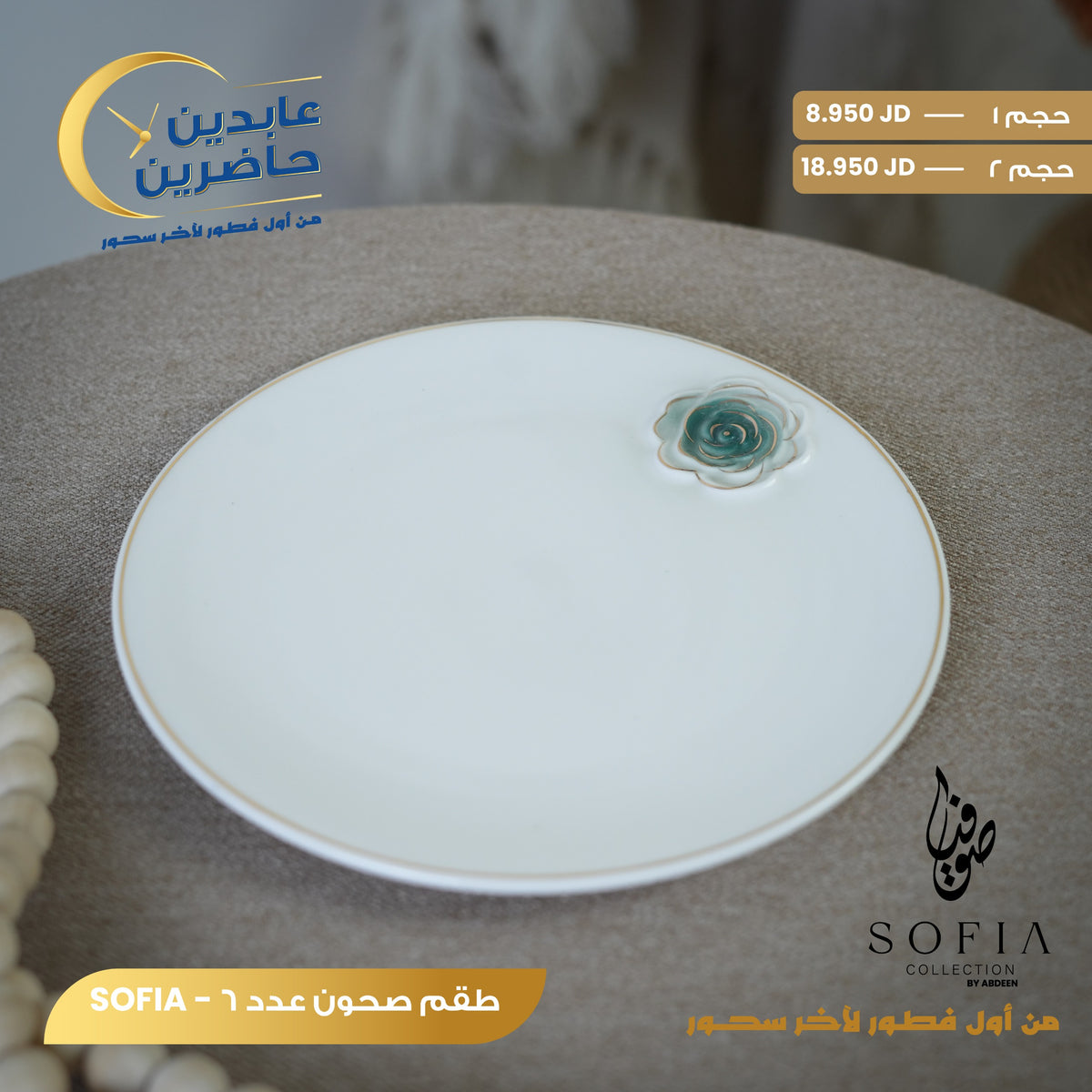 Plate Set 6-Piece with Rose Detail – Sofia Collection