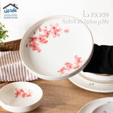 طقم سفرة 24 قطعة