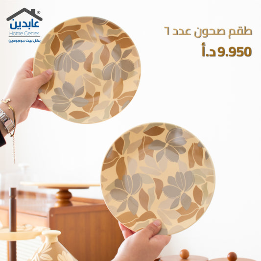 طقم صحون