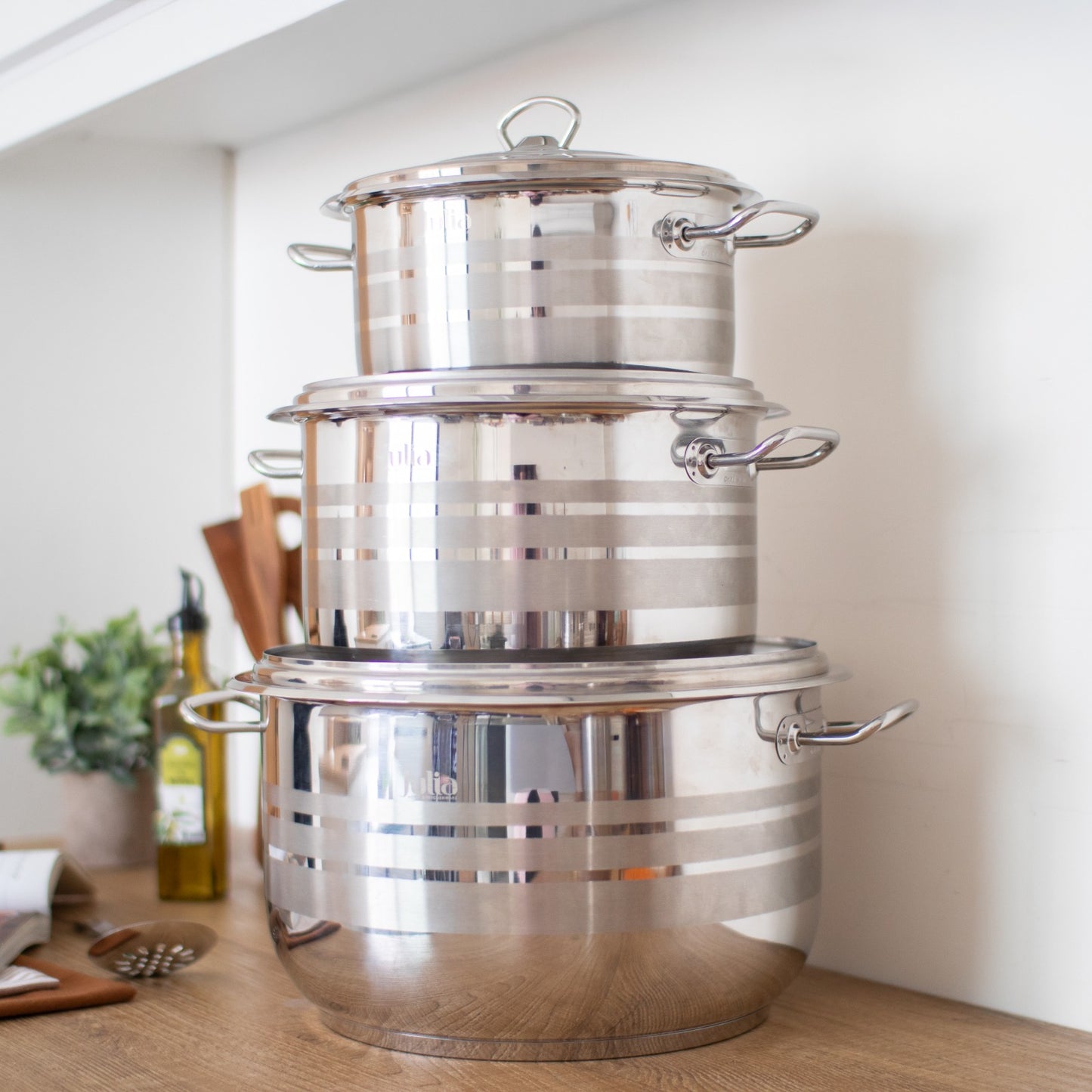 Julia stainless steel pot