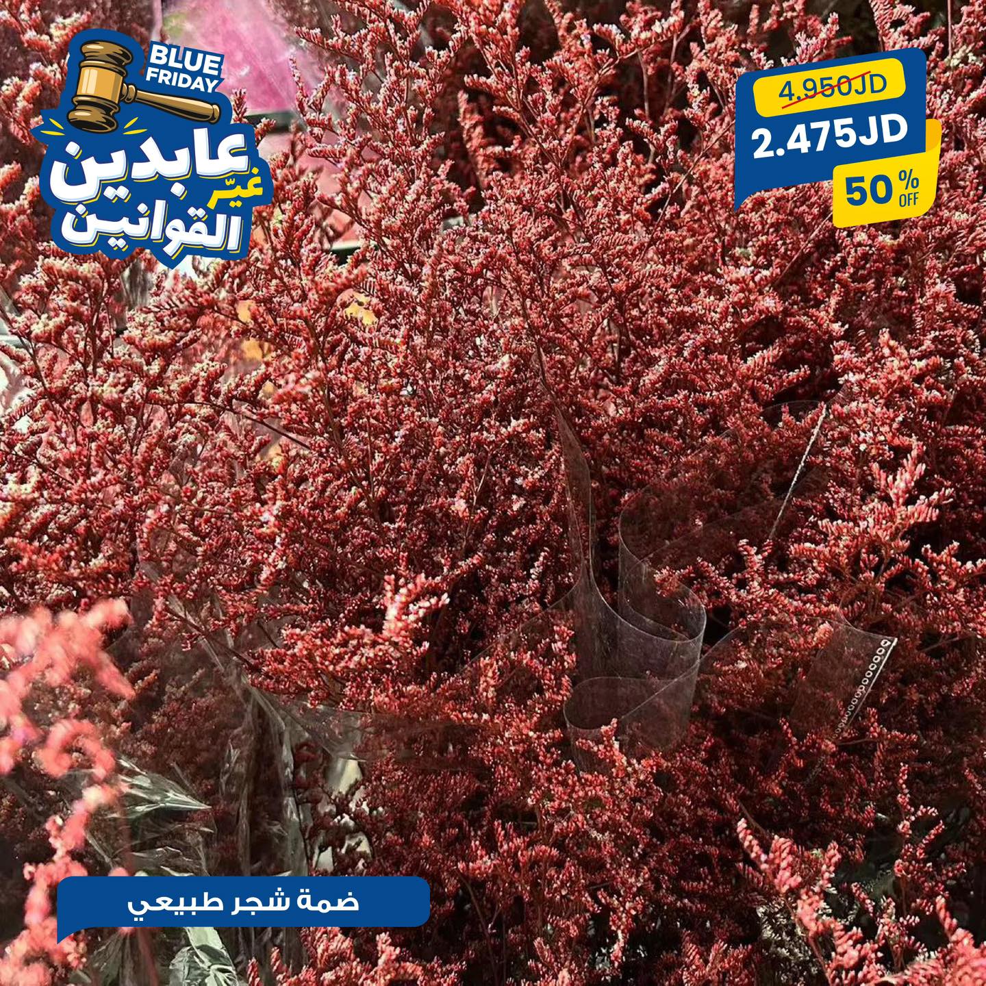 ضمة شجر طبيعي