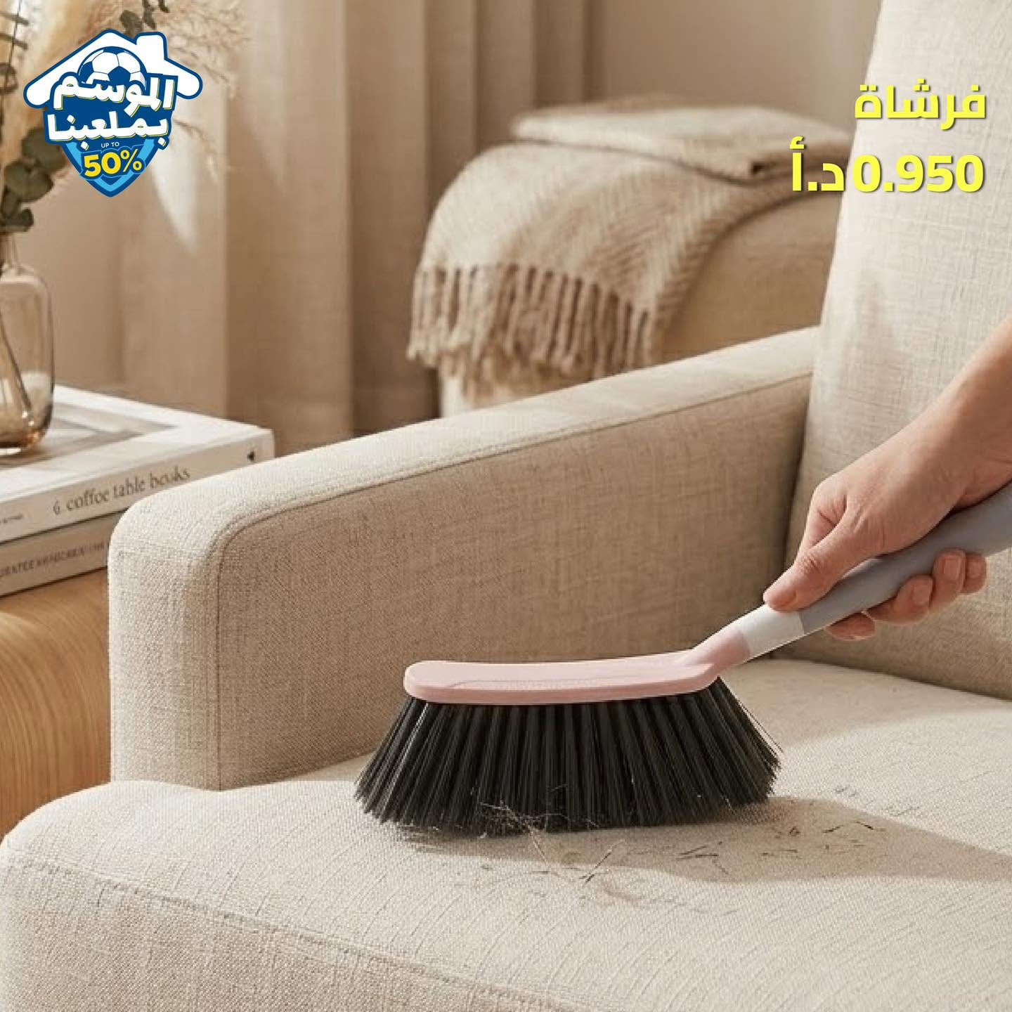 Cleaning brush