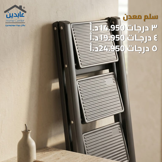 Metal ladder