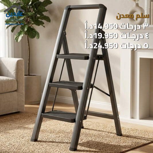 Metal ladder